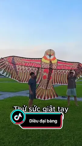 Tiếp tục lên siêu phẩm đại bàng to khổng lồ cho mọi người chơi #dieu #dieukhonglo #dieuvai #dieudaibang #dieuvai3d 