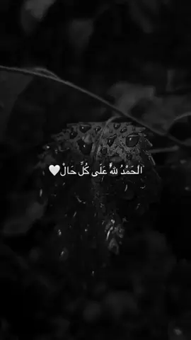 الحَمْدُ لِلّهْ عَلَى كُلِّ حَالْ🤍#ئه_كتيڤ_بن #aynor_n9 #🤍 