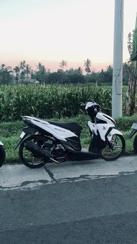 infokan lagu terkane #fyp #fypシ #vario #variomodifikasi #vario125 