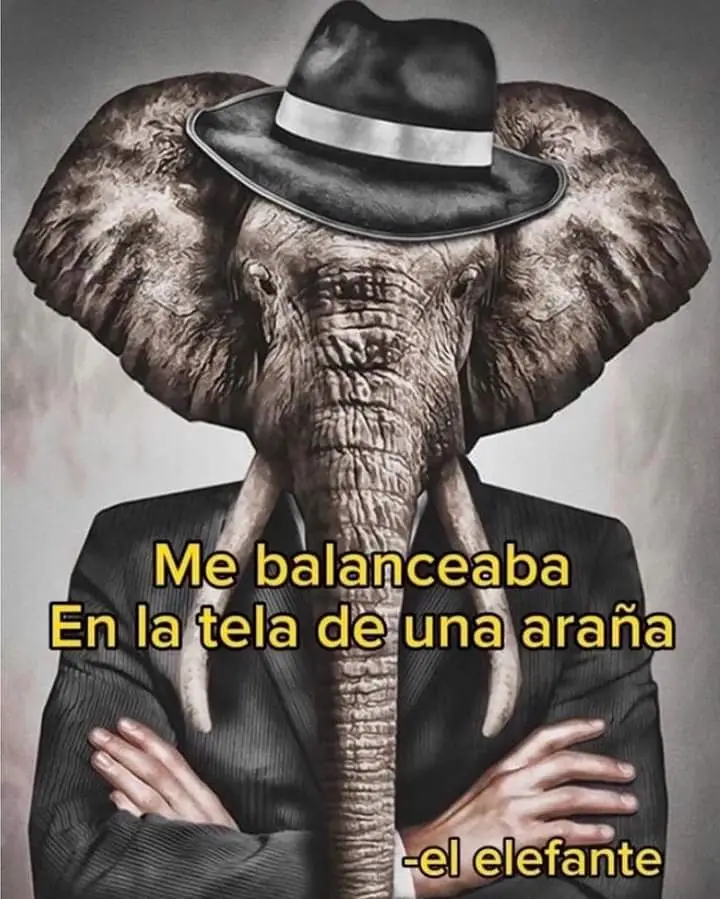 Tres tristes tigres traigan trigo en un trigal . #tiktok #fraces #humor #viralvideos #fy #viral 