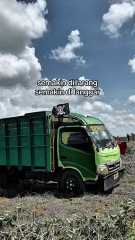 pesona kuli dayang rindu 🤟🏼 #supirwedok #singkongbalap🤙 #drivercantik #fy 