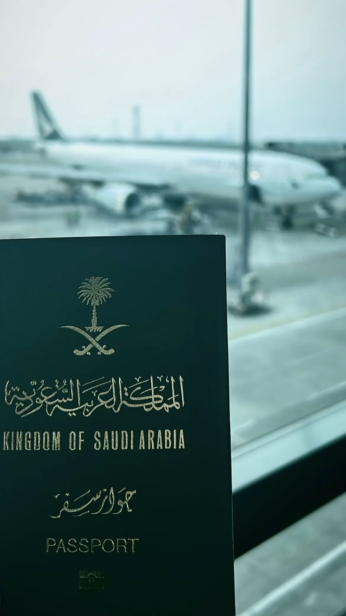 #بونشاك #المسافر 