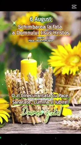 Prieteni dragi,fiți binecuvăntați oriunde in lume vă aflati 🙏🙏🫂❤️🍀#CapCut 