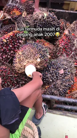 #masukberandafyp #xyzabca #katakata #kulisawit #kulisawitkalimantan 