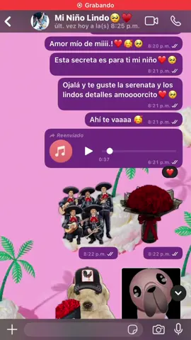 Otra serenata mas para mi noviecito.!🥰❤️ #serenata #audiosdewhatsapp #natanaelcano #fypシ #hazmeviral #romantico @armando Antonio 🥺❤️