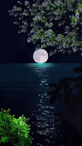 #🥺💔🥀🎼🎼😭😔🎼 #😢😭😭😭😭😭😭😭😭😭😭 #اكسبلور 