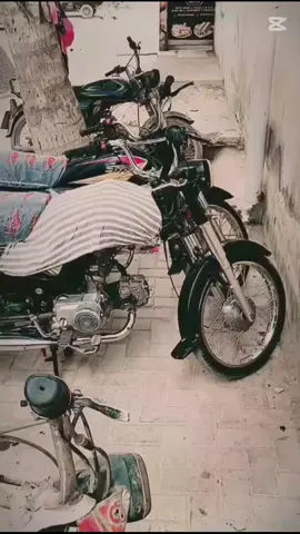 Salon kamiyab to hony do 😅🤙😈 trending #viralvideo #unfrezzmyaccount #officialaccount For you #♥️🥰💯⭐💫💫💫💫💫💫💫💫💫💫💫💫💫💫💫💫💫💫💫💫💫💫💫