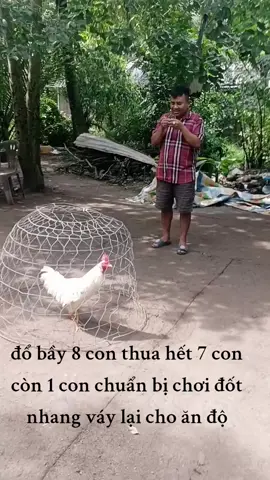 #xuhướng #nhosoctrang #❤️❤️❤️❤️❤️❤️❤️ mong bà cậu phù hộ@Hồ Ken Sóc Trăng ✅ 