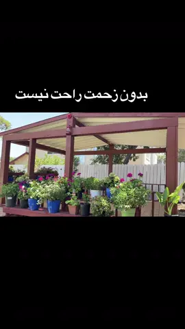 #foryoupage #mypage #may #for #ya #my #پشتون_تاجیک_هزاره_ازبک_زنده_باد🇦🇫 