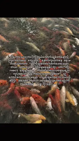 သေလောက်အောင်ချစ်လဲမရွေးချယ်ဘူးနော် #tiktok #foryou #moots? #fyp #fyppppppppppppppppppppp #crd 