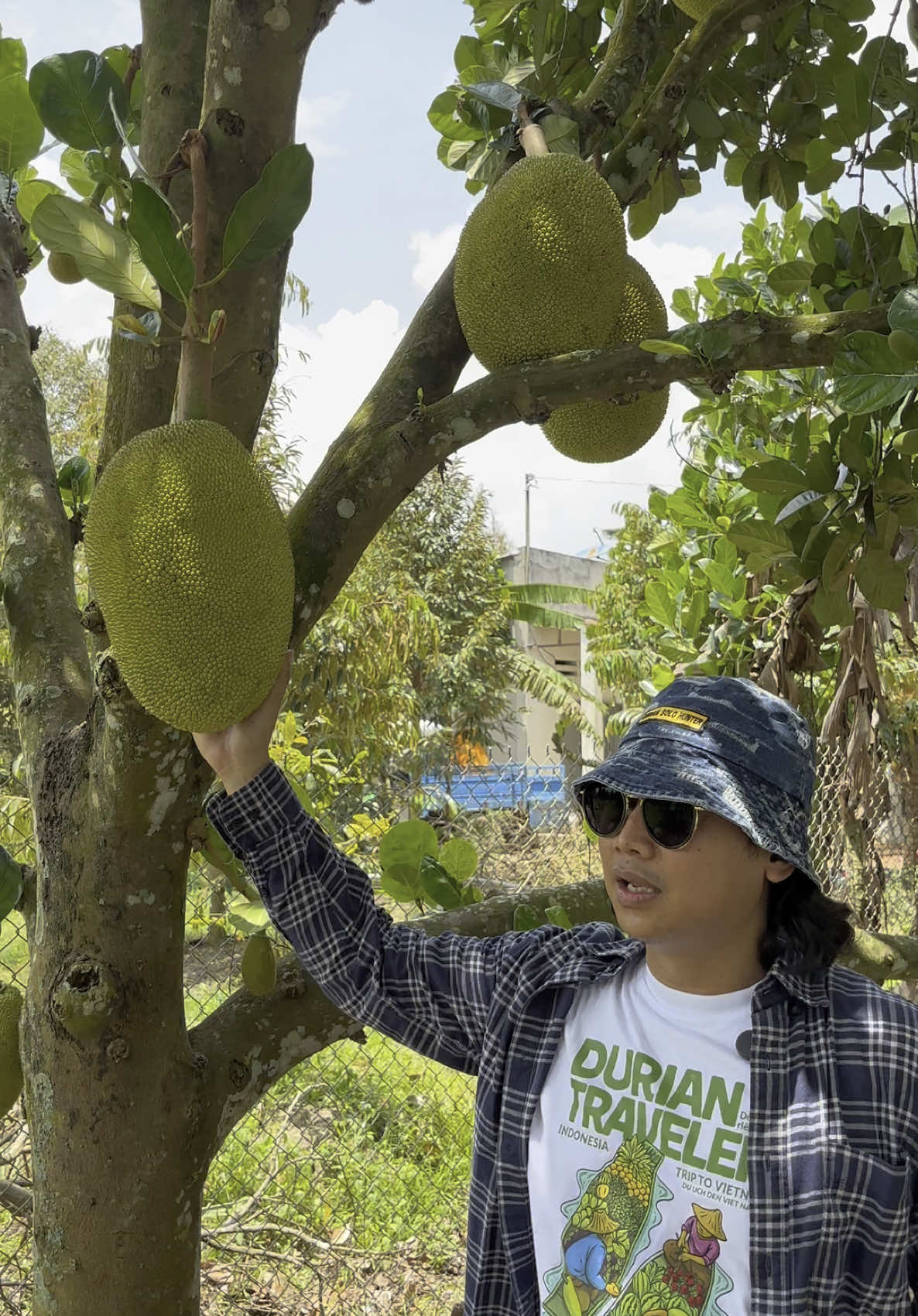 Belajar Menata Pola Nalar Dari Sistem Pertanian Durian Di Vietnam 