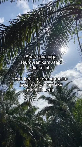 #fypシ゚ #pemuatsawit #sawitontiktok #sawitriau #foryou #4youpage 