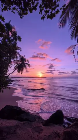 Tropical Evening Glow #livewallpaper #aestheticwallpaper ##4kwallpaper #naturevibes #phonebackground #moodyvibes #cinematicloop #loop