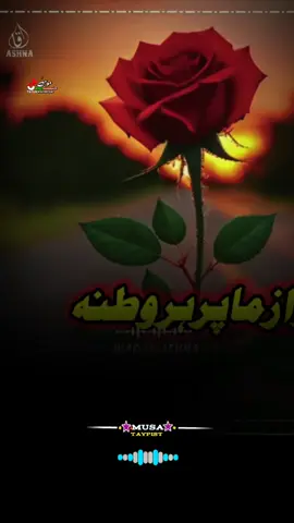 #CapCut #CapCuda♥️🇦🇫🌹🥀❤️💕💘🥰🥀🌹🌹🇦🇫♥️🇦🇫❤️❤️❤️🤝🥀AM 