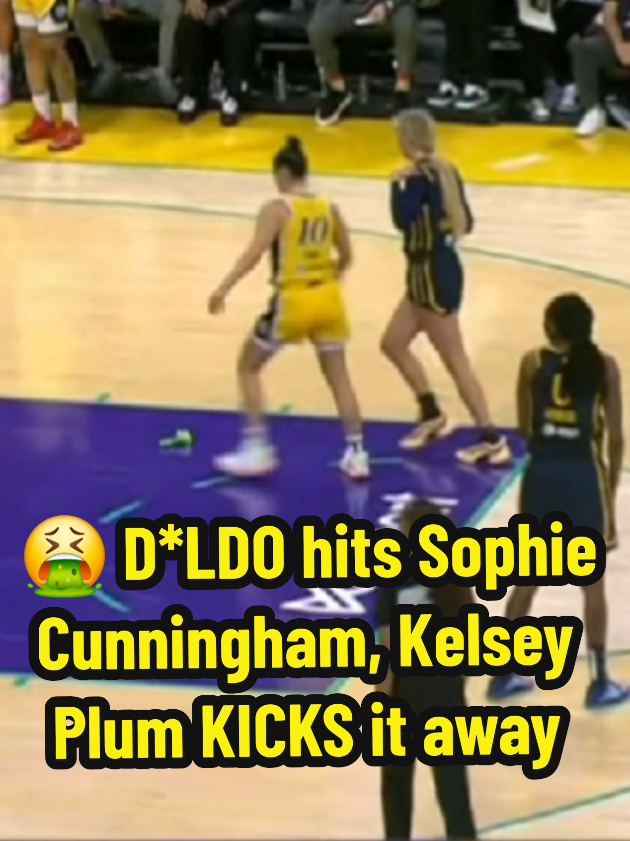 😱 D*LDO hits Sophie Cunningham, Kelsey Plum KICKS it off court | Los Angeles Sparks vs Indiana Fever, WNBA women's basketball |  Support me through Patreon to keep my channel going, monthly memberships starting at $3!
 https://www.patreon.com/womenhooping |
 #fypシ゚viral  #fyp  #fypシ  #fypage  #fypageシ  #foryou  #foryour  #foryoupage  #foryourpage  #viral  #viralvideo  #viraltiktok  #tiktokviral  #tiktok  #basketball  #basketball🏀  #basketballtiktok  #tiktokbasketball  #bball  #bballtiktok  #wbb  #womensbasketball  #girlsbasketball  #ncaa  #ncaaw  #ncaawbb  #ballislife  #ballislife🏀  #basketballislife  #collegebasketball  #WNBA  #NBA  #nfl  #highlights  #basketballhighlights #lsu #lsutigers #geauxtigers #kimmulkey #lsuwbb #lsuwomensbasketball #flaujae  #flaujaejohnson  #angelreese #haileyvanlith #caitlinclark #uconn #huskies #uconnhuskies #gohuskies #uconnwbb #uconnwomensbasketball #paige #bueckers #paigebueckers #paigebuckets #azzi #azzifudd #hvl #iowahawkeyes   #technicalfoul #intentionalfoul #southcarolina #genoauriemma #usc #uscwbb #southcarolinawbb #southcarolinawomensbasketball #duke #bluedevils #dukebluedevils #dukewbb #chloekitts #milaysia #fulwiley #milaysiafulwiley #espn #longhorns #texas #texaslonghorns #texaswbb #texaswomensbasketball #ucla #bruins #gobruins #uclabruins  #juju #jujuwatkins #usctrojans #trojans #kikirice #celestetaylor #ohiostate #ohiostatebuckeyes #buckeyes #tcu #hornedfrogs #tcuhornedfrogs #tcuwbb #sedonaprince #genoauriemma #MarchMadness  #marchmadness2025 #ncaatournament  #ncaaw #ncaawbb #ncaawomensbasketball #indianafever #newyorkliberty #nyliberty #seattlestorm #chicagosky #connecticutsun #losangelessparks #lasparks #washingtonmystics #phoenixmercury #dallaswings #lasvegasaces #lvaces #ajawilson #minnesotalynx #atlantadream #kamillacardoso #ajawilson #kelseyplum #dianataurasi #taurasi #usabasketball #breannastewart #cameronbrink #cambrink #sabrinaionescu #Wildcats #iowahawkeyes #gohawkeyes #iowa #finalfour #final4 #nationalchampionship  #valkyries #goldenstatevalkyries 
