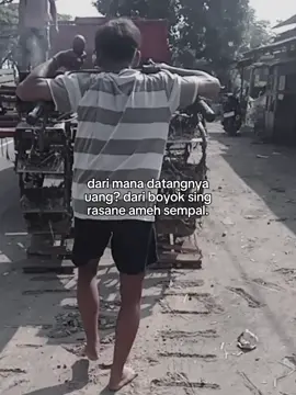 #nabraktalut #teammadangmaidobayaran #teamngiwomadang #petanimuda #