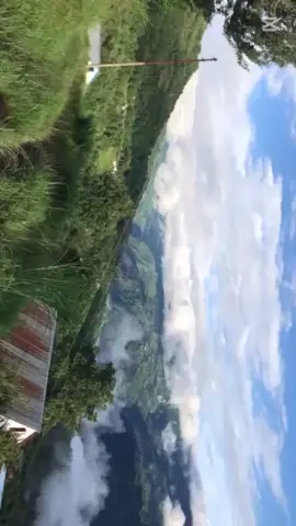 👌👍