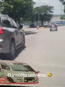 La patineta es buena de mas, de verdad es un reto el que se monte, peor aun que ande comp si nada Kkkk. #dominicanrepublic #venezuela🇻🇪 #venezolanosenchile🇻🇪🇨🇱 #risas😂😂😂 #seraposible #hermosafamilia🤩👨‍👩‍👦🙈😍♥️ #venezolanoseneeuu #chistes #pendejadas #vagabundo 