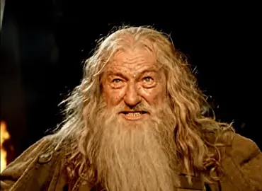 Gandalf didn’t chance it #LOTR #lordoftherings #gandalf #veo3 #Ai #funny #fantasy 