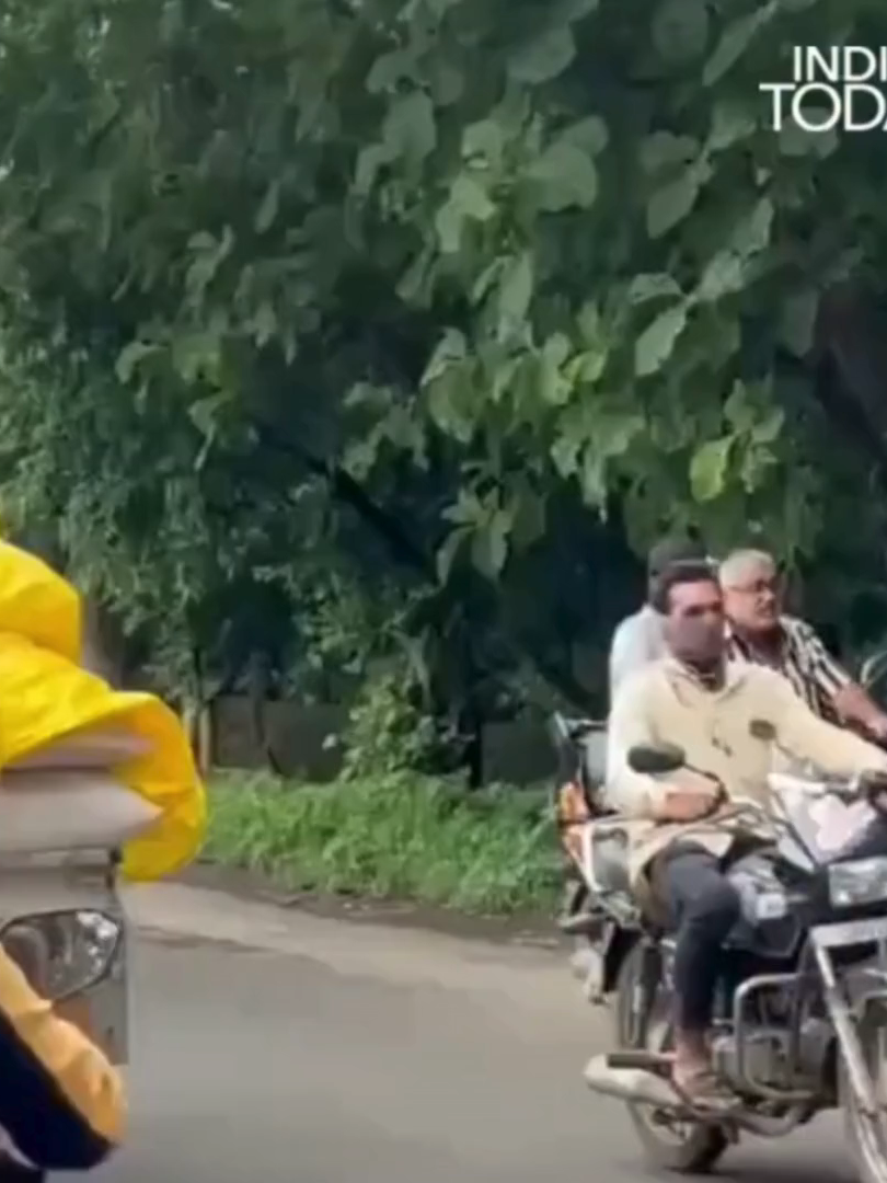 😱🦁 Daylight LION standoff! A massive lion stunned traffic near Junagarh, Gujarat — calmly walking up to a rickshaw. Phones out. Hearts racing. Everyone froze. 🎙️ Stella Othi | World News Scenes 📲 Follow for more wild moments! #LionEncounter #Junagarh #GujaratNews #IndiaWildlife #GirForest #AnimalAlert #WorldNewsScenes #ViralVideo #ForestDrama#india #WorldNewsScenes #aussie #china #tokyo #france #russia #paris #africantiktok