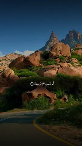 #عكاشة_كميني #قران_كريم #سورة_النبأ 