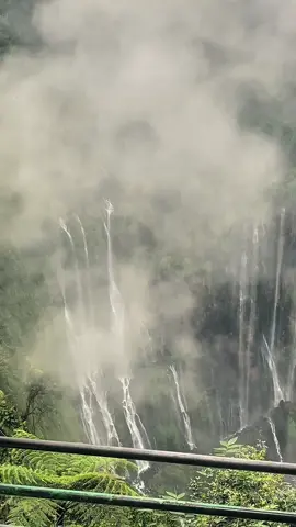 suasana di pagi hari🥶#tumpaksewuwaterfall #tumpaksewu #pronojiwo #lumajang #fyp #lumajang24jam 