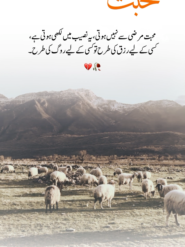 unfreeze my account🥺🤌 #1millionaudition #foryou #asthetic #poetrystatus #fypp#foryoupage #dopalpoetry #urdupoetry 