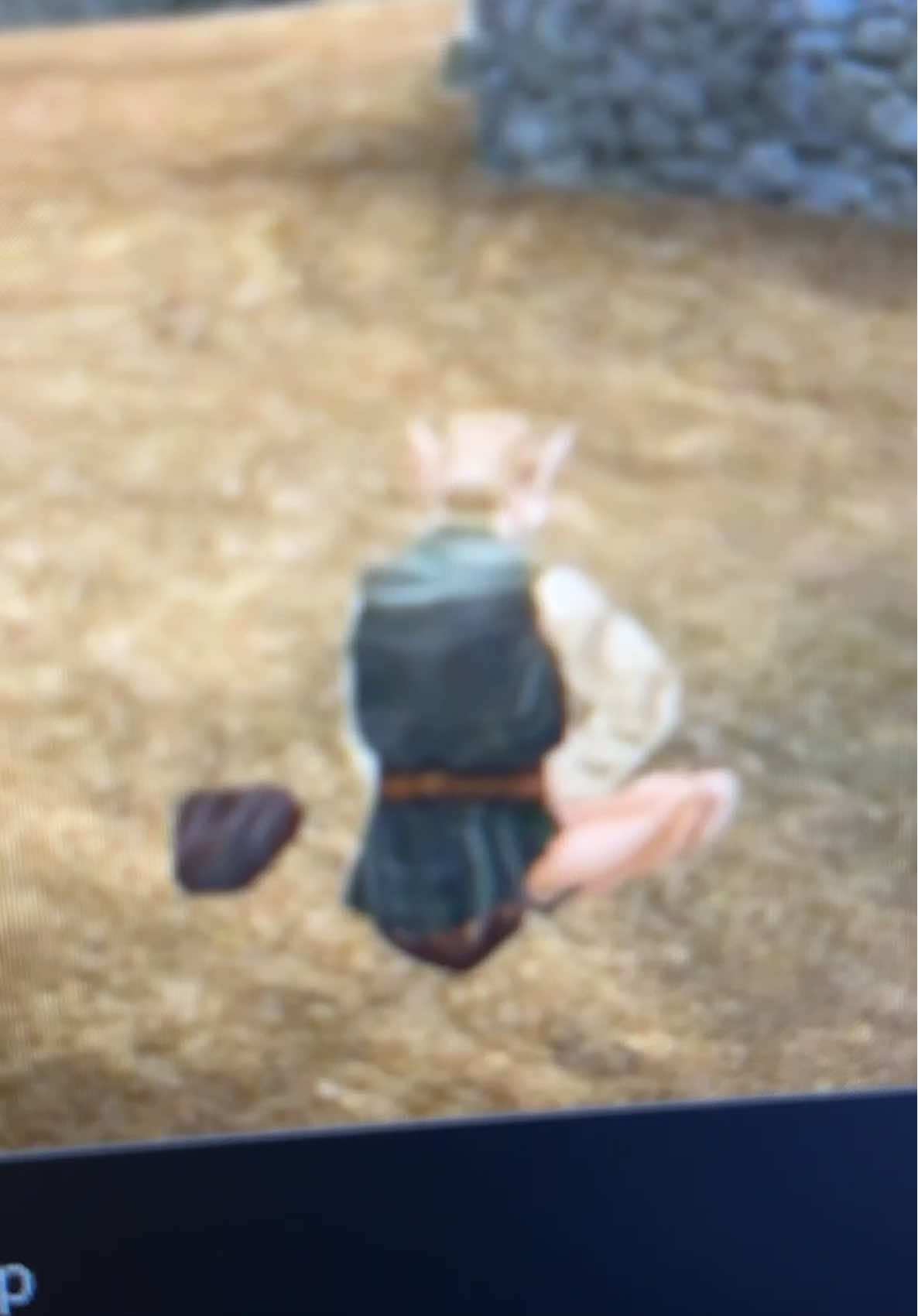 The things I do for Twitter #morrowind #elderscrolls 