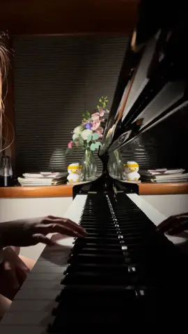 seasons - wave to earth  || #seasons #wavetoearth #music #pianocover #w2e #calm #pianotok 