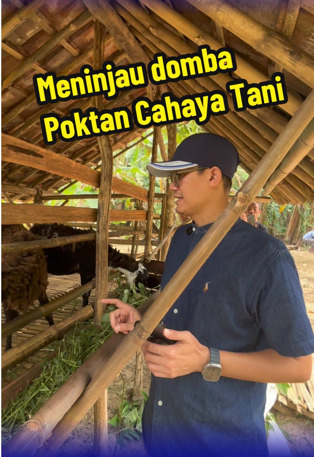 Assalamu'alaikum Warahmatullahi Wabarakatuh. Alhamdulillah Kami dapat meninjau langsung Aspirasi domba-domba yang di terima Kelompok Cahaya Tani desa Cikeusik, Wanasalam dari Dinas Pertanian. Ini adalah bagian dari komitmen kami untuk selalu transparan dalam mengelola amanah ini. Kami mendapat laporan bahwa satu ekor domba sudah mati. diduga hal ini disebabkan oleh kondisi fisik yang kurang prima sejak awal kedatangan. Kejadian ini menjadi bahan evaluasi dan pembelajaran penting bagi kami. Enam ekor domba lainnya saat ini dalam keadaan sehat dan mendapatkan perawatan sesuai dengan prosedur, yaitu pemberian pakan dua kali sehari. Kami akan terus berkoordinasi dengan Dinas Pertanian untuk mencari solusi terbaik, termasuk kemungkinan pengajuan penggantian domba yang sudah mati. Kami memohon doa dan dukungan dari Bapak/Ibu/Saudara sekalian agar kami dapat mengemban tugas ini dengan baik dan domba-domba ini dapat memberikan manfaat yang maksimal bagi masyarakat. #Peternak #Petani #Perernakmuda #Banten #sejahter #Adil #Tidakkorupsi