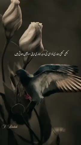 🫠🥀🍂 ... ... #foryou #foryou #foryou #foryou #foryou #foryou #foryou #viralvideo #viralvideo #viralvideo #viraltiktok #viraltiktok #viewsproblem #viewsproblem #viewsproblem #viewsproblem #urdupoetry #sad #poetry #poetrystatus l#poetrylover 