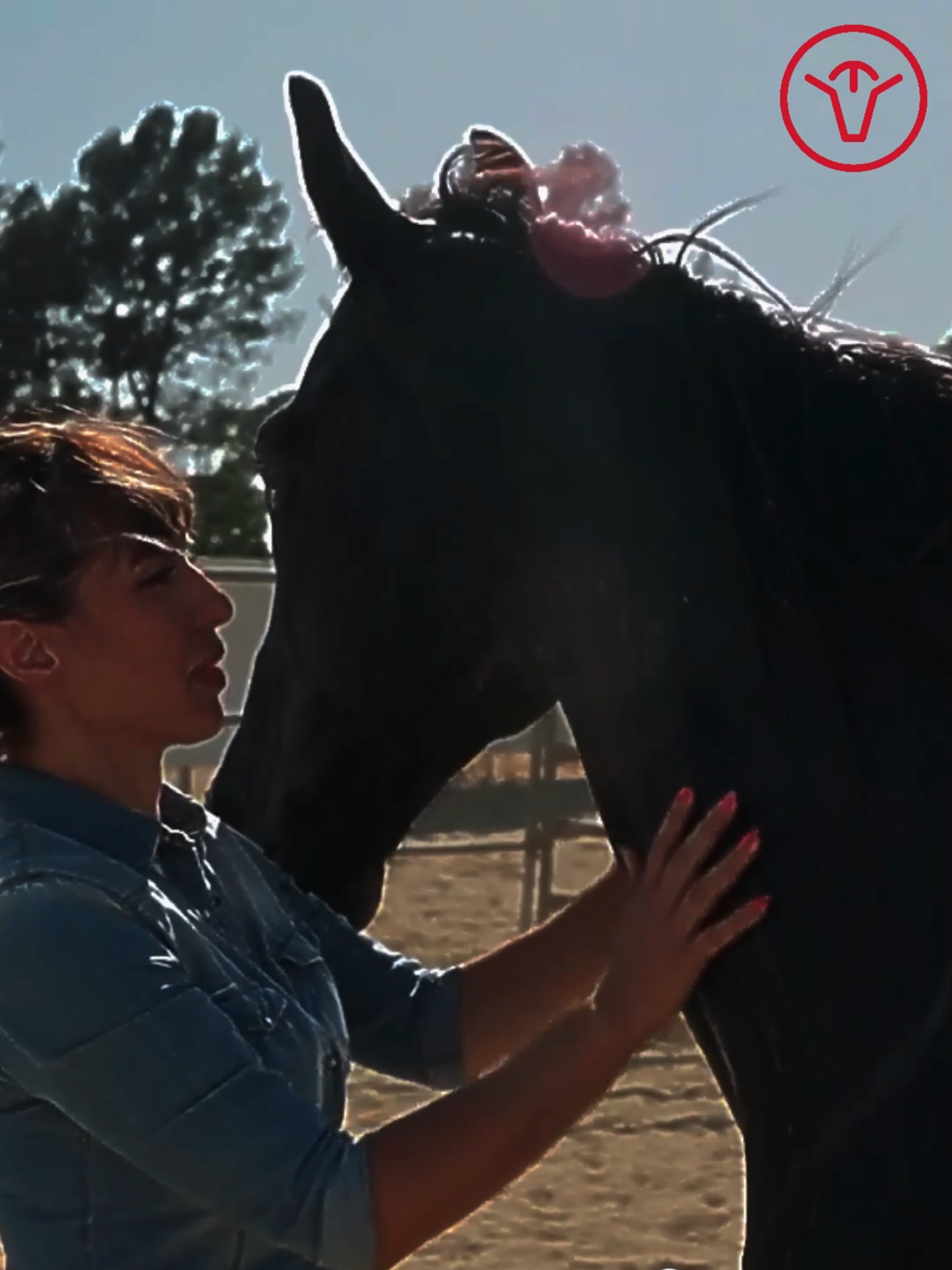A cowboy’s strength lies in steady, unwavering effort every single day. It’s this tireless dedication that transforms challenges into triumphs and makes the lifestyle meaningful. How do you live #TheCowboyWay ?
