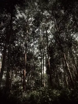 几年前那些平凡的瞬间，如今却成了我们一直期盼的事情….. “Những khoảnh khắc bình thường của vài năm trước, giờ lại trở thành điều mà chúng ta luôn ao ước…”