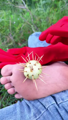 Survival Skills: SMART idea and USEFUL with single mom #bushcraft #camping #Outdoors #uesful #idea