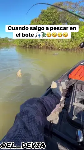 humano vs cocodrilo 