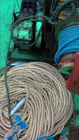 #fypp 