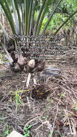 Banyak ragam manusia 😬