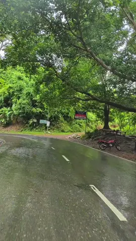 রাঙ্গামাটির রোড আঁকাবাঁকা রাস্তা,চারিদিকে প্রকৃতিক দিয়ে ঘেরা এবং বড় বড় পাহাড়, দেখে অনেক শান্তি লাগে..!🌿🦋❤️