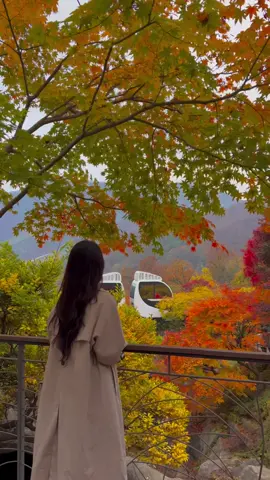 Most beautiful Place in korea🇰🇷😍 