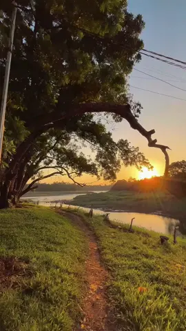 Siapa yang sudah kesini... absen dong..🙌🙌 Danau way jepara, lampung timur nih yay #lampung #lampungtiktok #lampungpride #lampunggeh #lampungyay #lampungviral #lampungpride🔥 #lampunghits #lampungtimur #lampungtimur_tiktok #pariwisatalampung #hiddengem #hiddengemlampung #explorelampung #danauwayjepara #danauwayjeparalampungtimur #wayjepara #wayjeparalampungtimur💞💞💞 #fyp #fypage #fyppppppppppppppppppppppp #fypシ゚ #fypp 