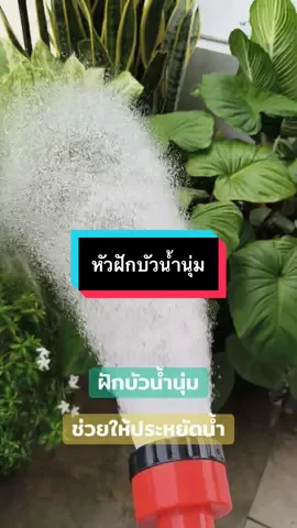 น้ำนุ่มมากช่วยให้ต้นไม้ไม่เสียหายจากการรดน้ำที่แรงเกินไป#ฝักบัวรดน้ํา #ฝักบัวน้ํานุ่ม #รดน้ําต้นไม้ #ต้นไม้ 