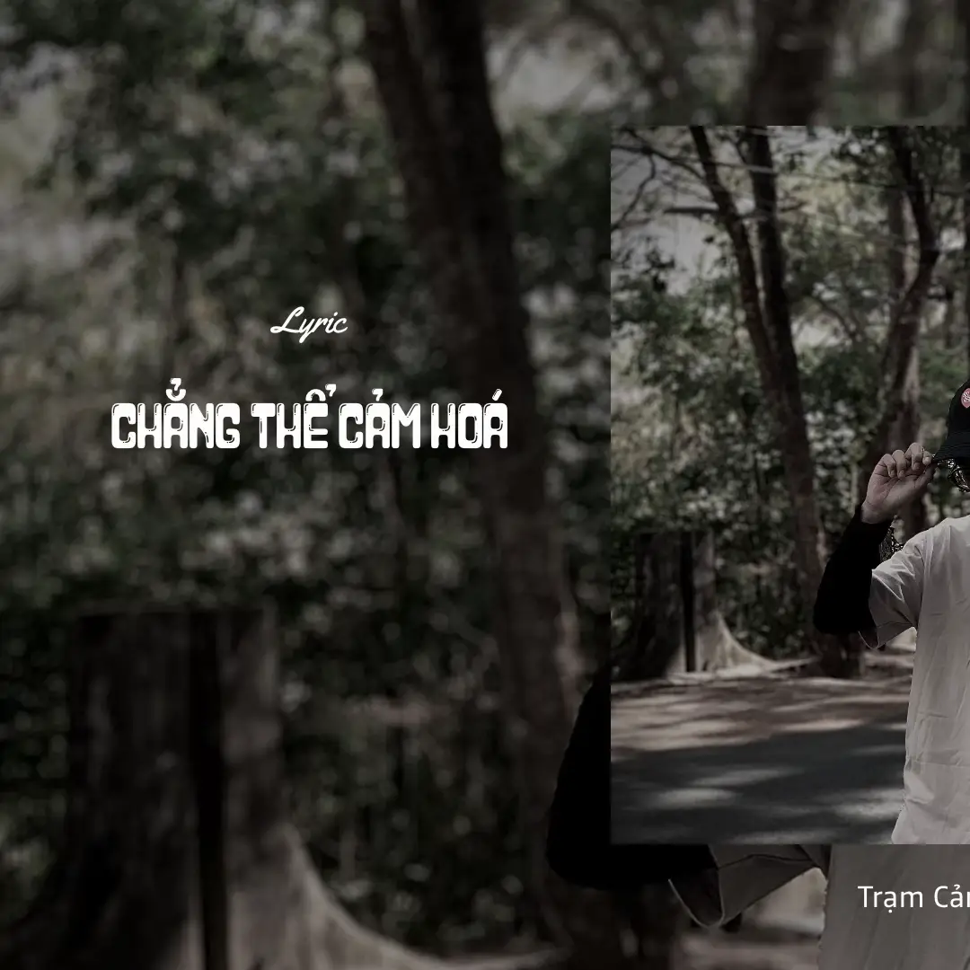 #tramcamxuc🖤 #tramcamxuc016 #nhachaymoingay #lyrics #changthecamhoa 