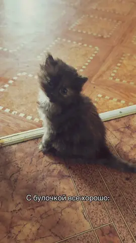 Не переживайте ❤️