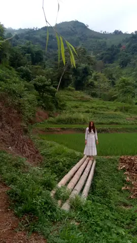 buổi chiều vui vẻ #viral 