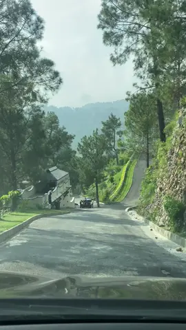 Pine city Margalla Hills#pinecity #pinecitywaterfall #mountain #greenery #margallahills@Deal & Deals 