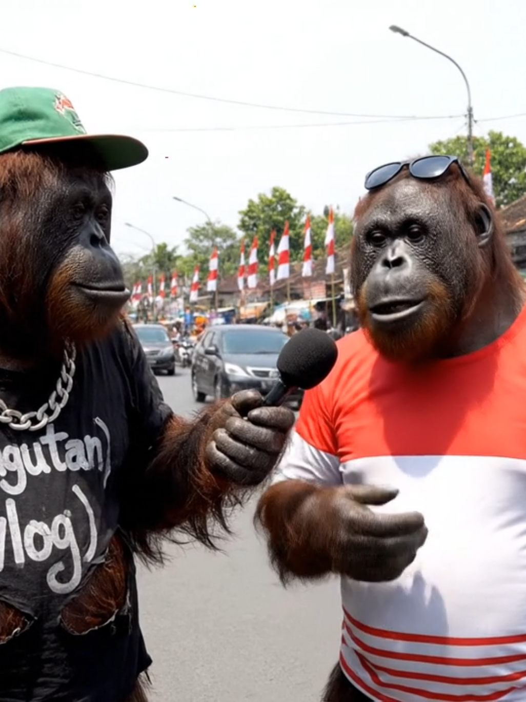 kata kata bulan agustus  #orangutan #semuaorang #fyp 