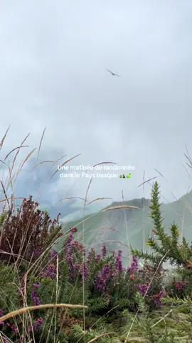 Une matinée de randonnée dans le Pays basque ⛰️🍃 la pluie était au rendez-vous 🌧️ #montagne #randonnée #Hiking #paysbasque #biarritz #anglet #spain #saintjeandeluz #naturevibes #naturelover #parcels #traveltiktok 