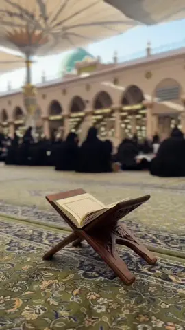 السلام عليك يانبي الرحمة🥺♥️.. #المدينة 