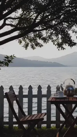 Escape to Nature  #RelaxingNature #fyp #foryoupage #relaxingvideos #NatureRelaxation #TranquilVibes 