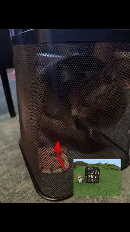 Cat spawner in real life🐈‍⬛ #fyp #cat #kitty #Minecraft #like #gato 